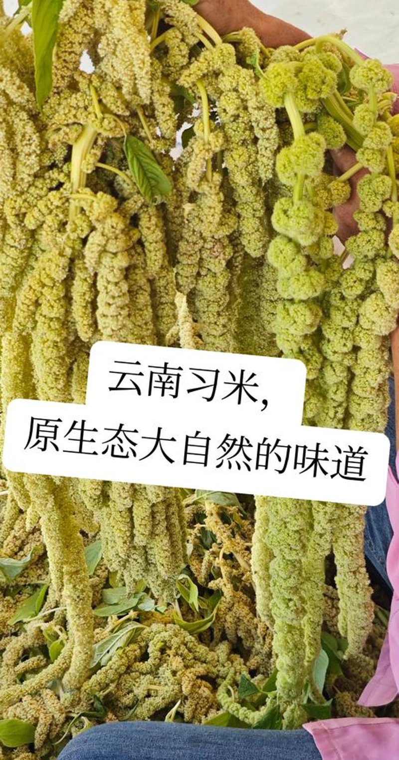 云南农产品