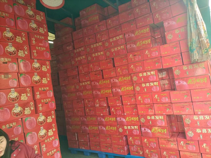 如何选购新鲜蔬菜？一份批发市场的终极指南